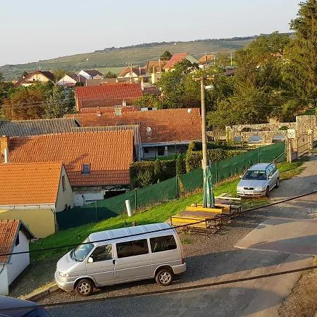 Anna S Vinnym Sklepem