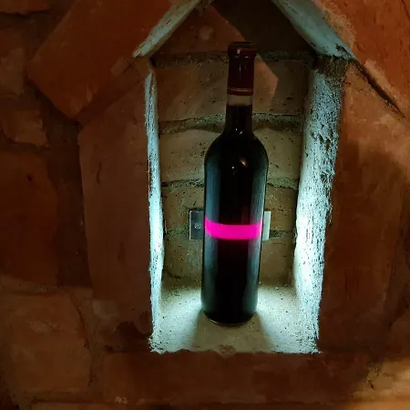 Anna S Vinnym Sklepem