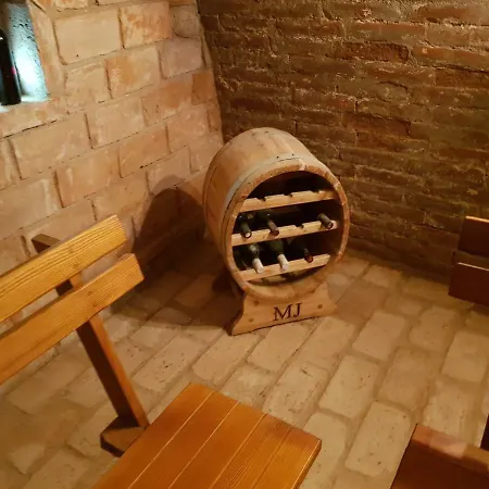 Anna S Vinnym Sklepem Pouzdrany