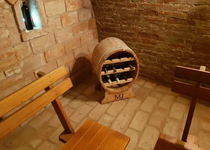 Anna S Vinnym Sklepem Pouzdrany