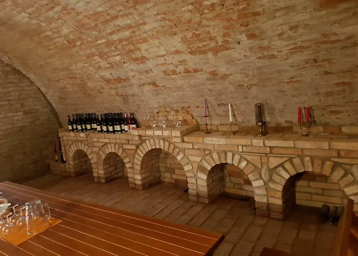 Anna S Vinnym Sklepem 公寓